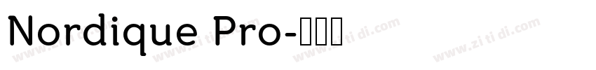 Nordique Pro字体转换